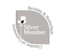 silver member